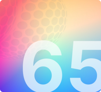 Sprint 65